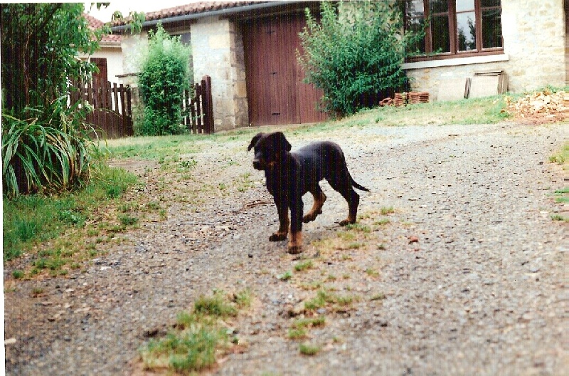 Mélodie du Roc de Mélusine